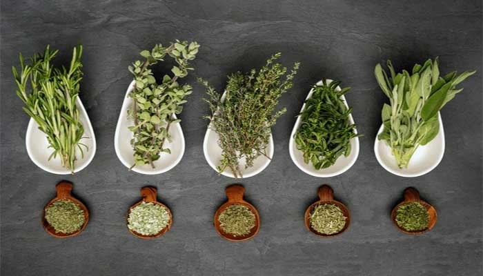 روشهای کلی برای نگهداری سبزی خشک