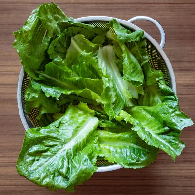 خواص جوشانده برگ کاهو (5 خاصیت شگفت انگیز)