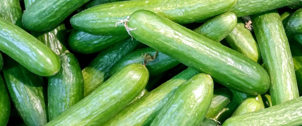 ماست خیار برای کبد چرب (4 خاصیت شگفت انگیز)