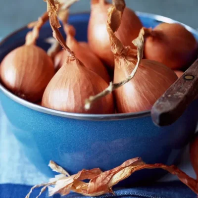 خواص موسیر (0 تا 100 نکات درمانی و تغذیه ای)