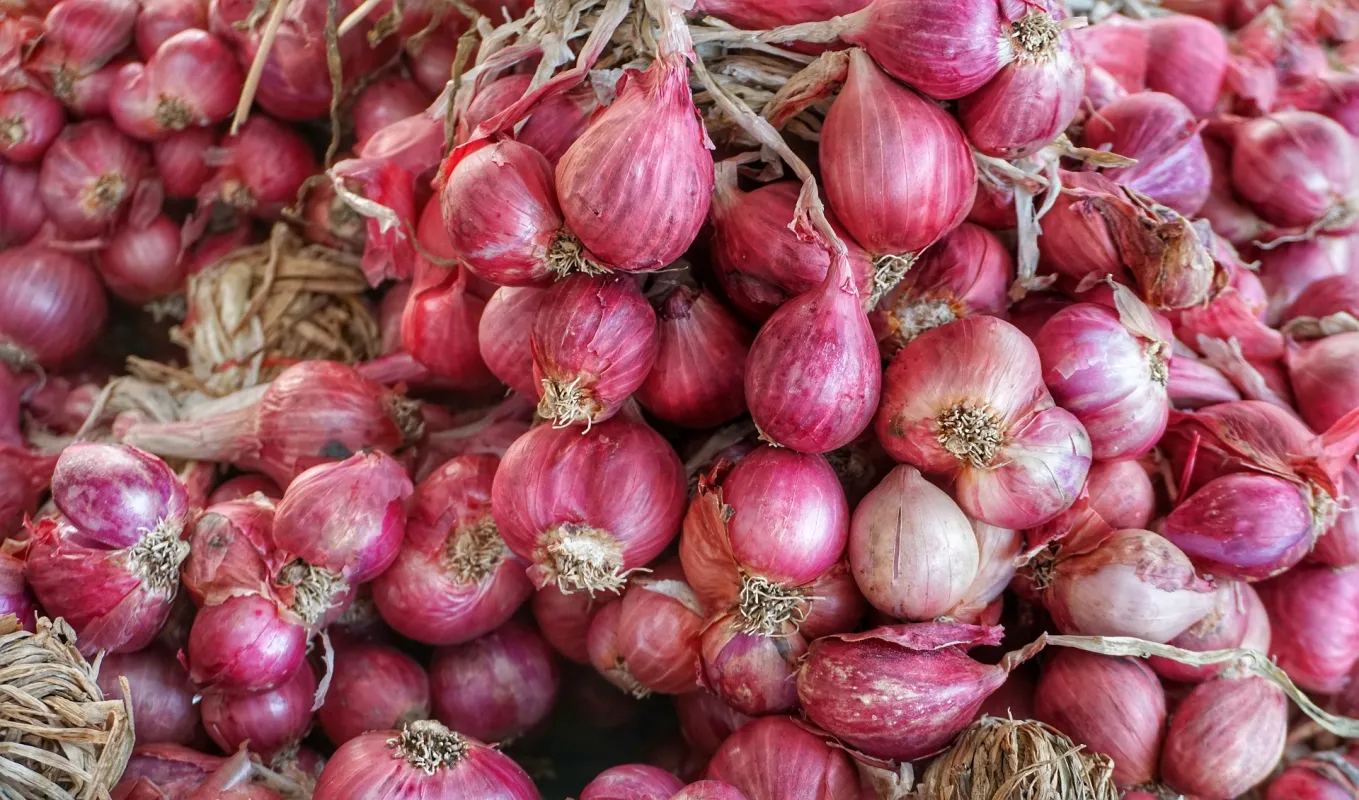 مواد موثره موسیر