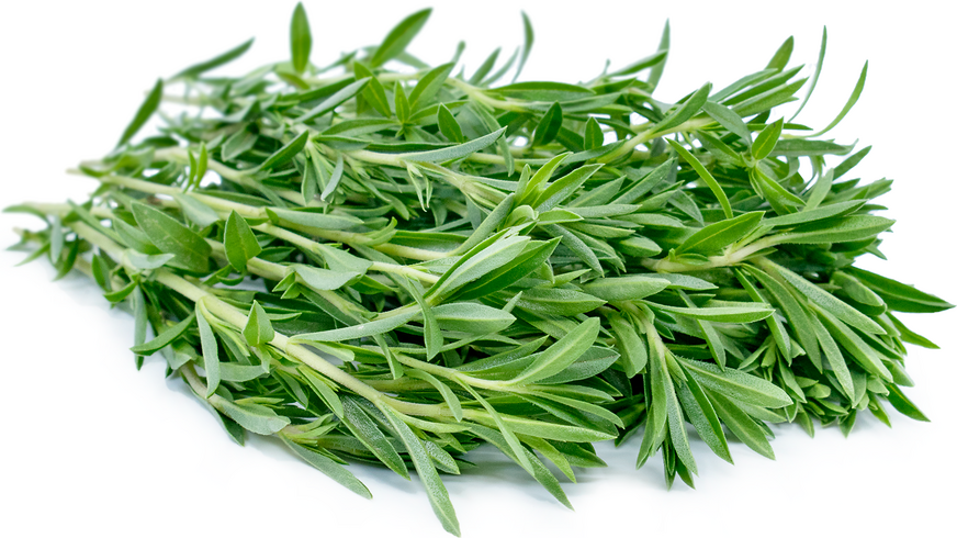 خواص مرزه کوهی در طب سنتی (4 خاصیت شگفت انگیز)