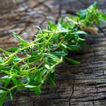 خواص مرزه برای معده (4 خاصیت شگفت انگیز)