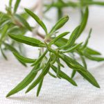 خواص مرزه برای کاهش وزن و لاغری (5 خاصیت شگفت انگیز)